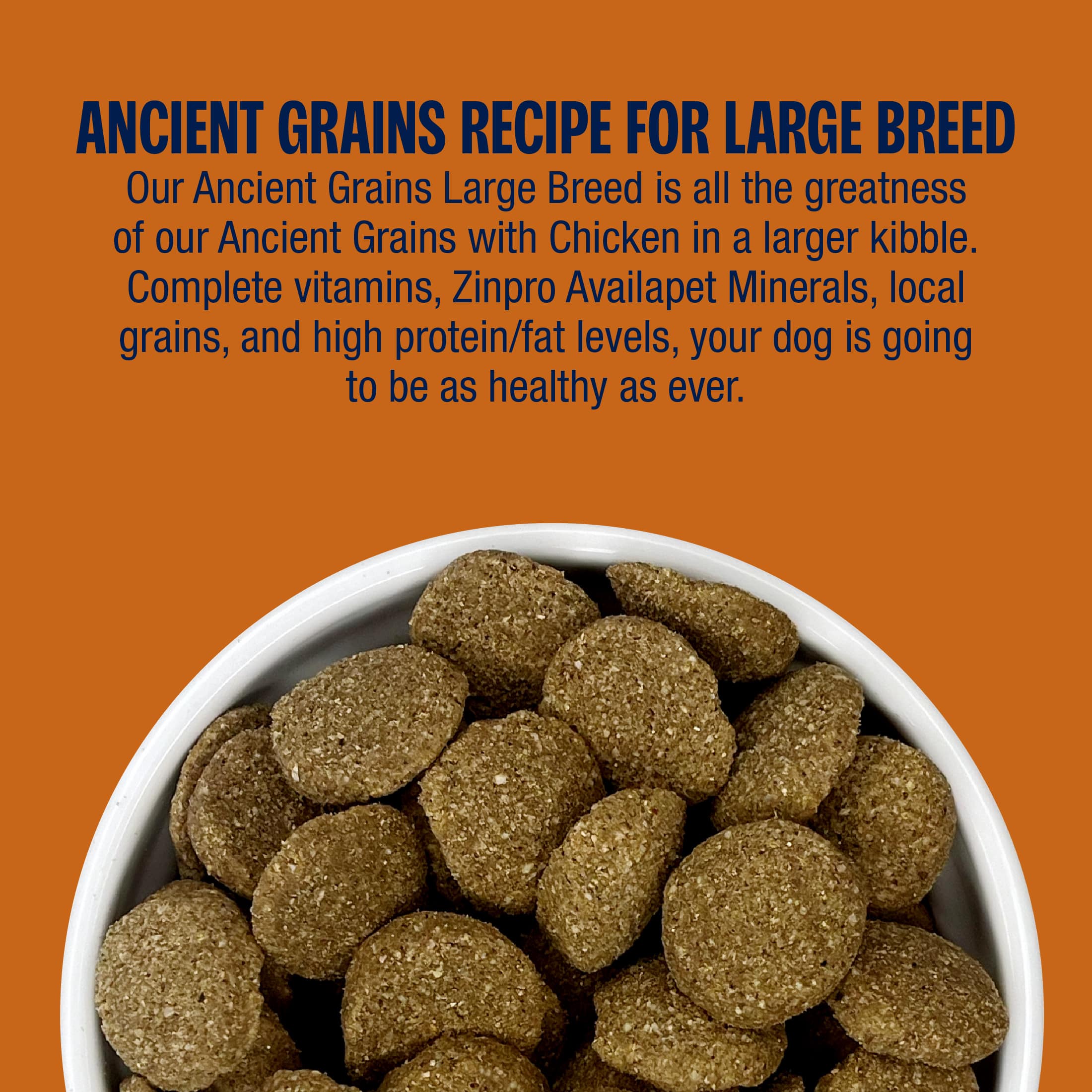 Ancient Grains Chicken Recipe for Large Breeds Dog Food - Image 7