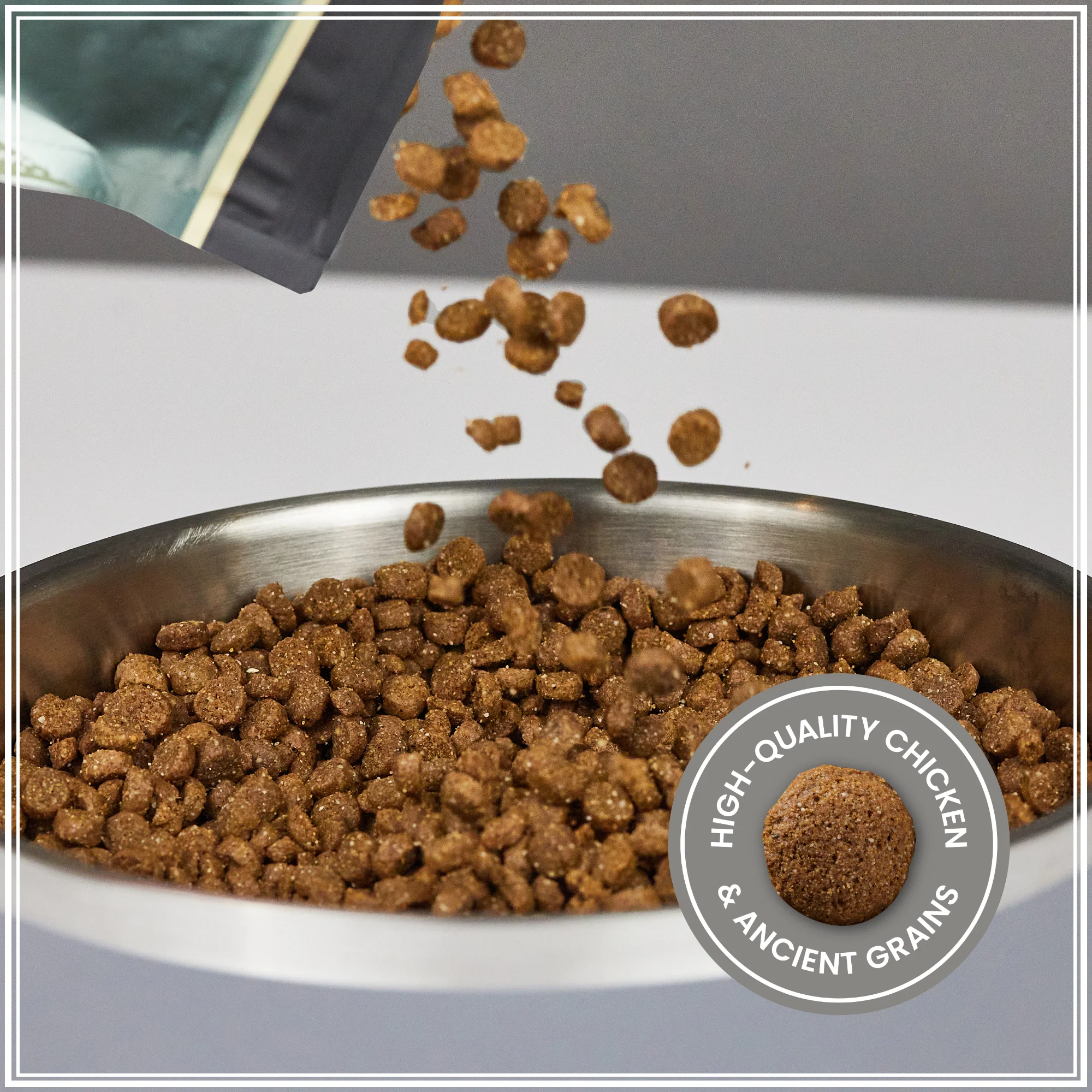 Ancient Grains Recipe with Chicken Dog Food - Image 4