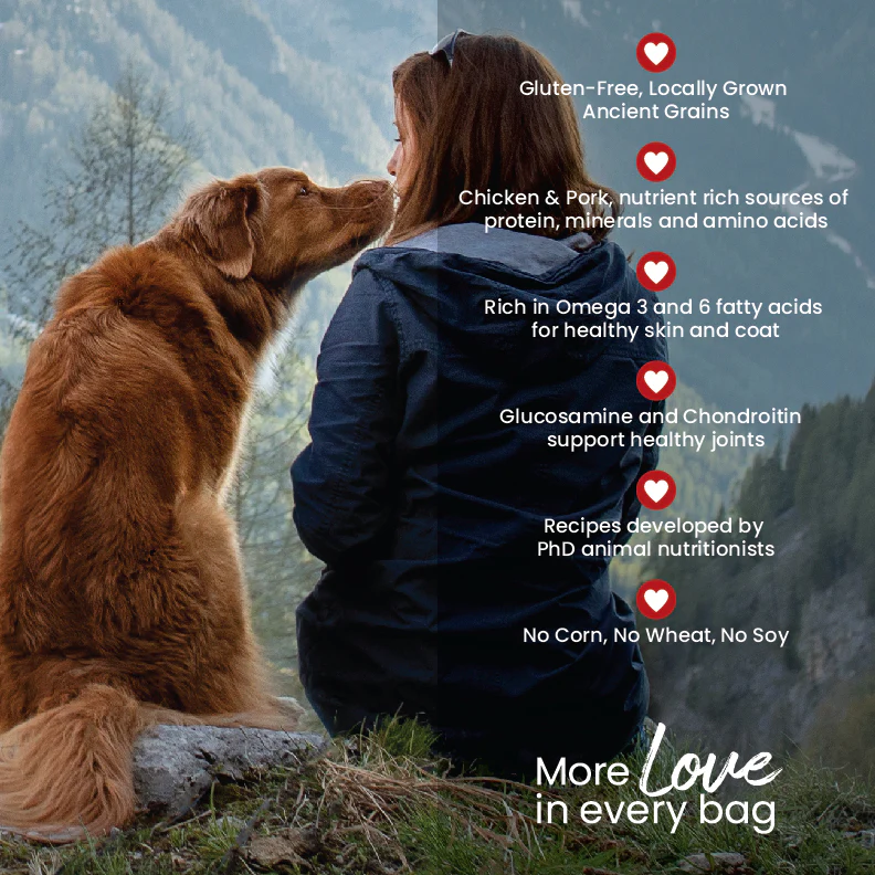 Ancient Grains Recipe with Chicken & Pork Dog Food - Image 4