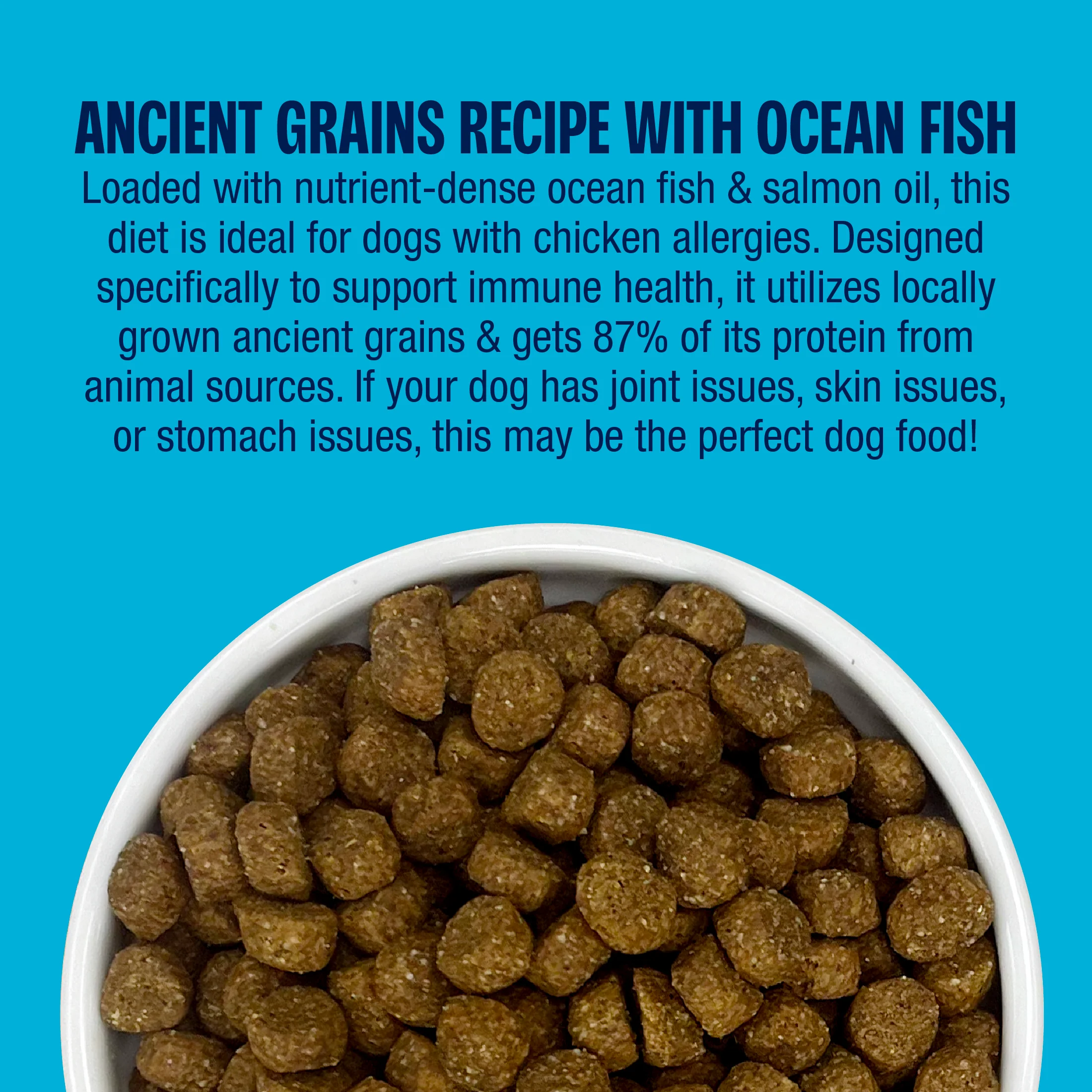 Ancient Grains Recipe with Ocean Fish Dog Food - Image 7