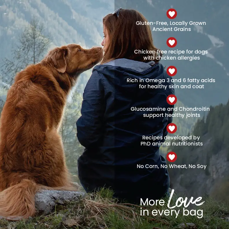 Ancient Grains Recipe with Ocean Fish Dog Food - Image 8