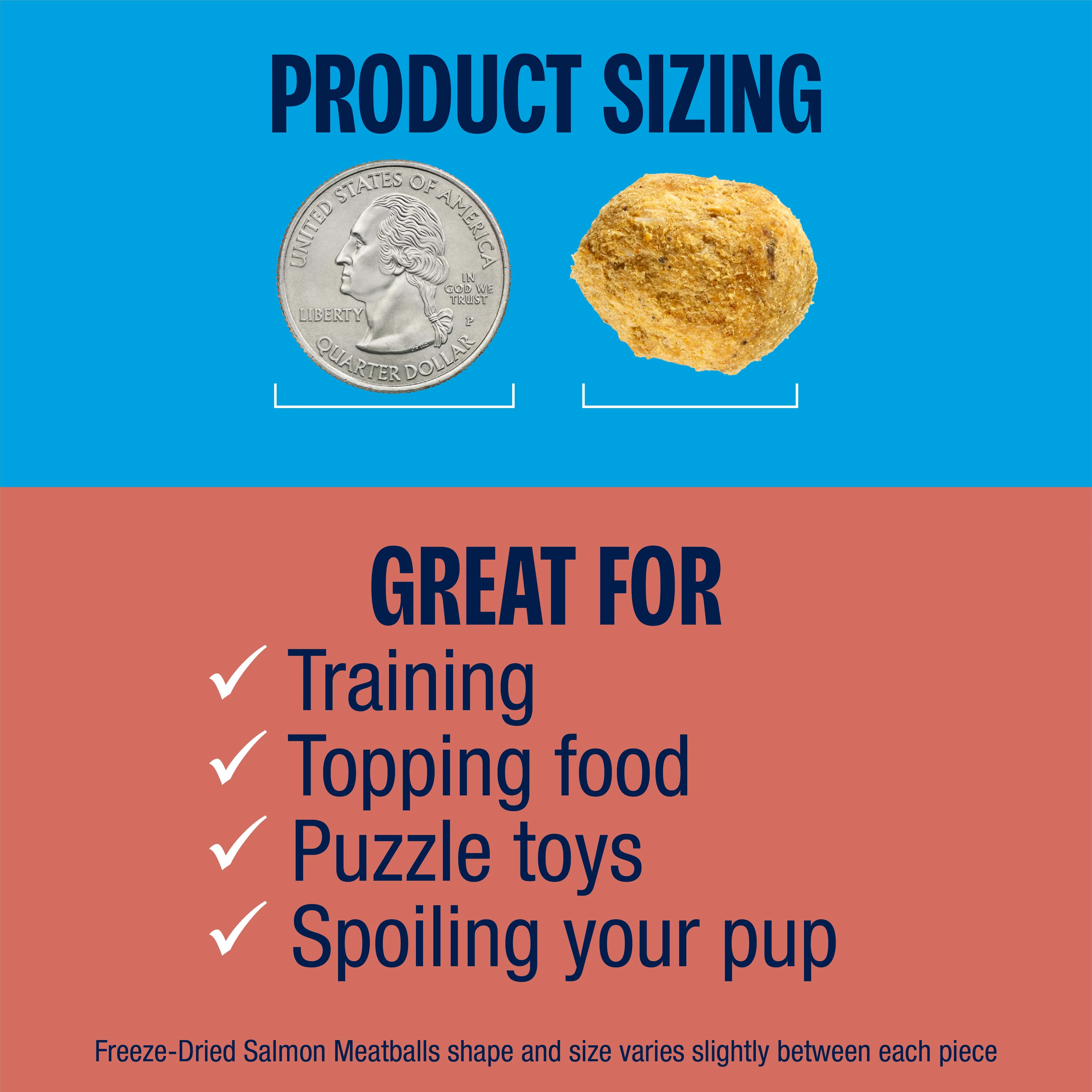 Salmon Meatball Freeze-Dried Dog Treats - Image 3