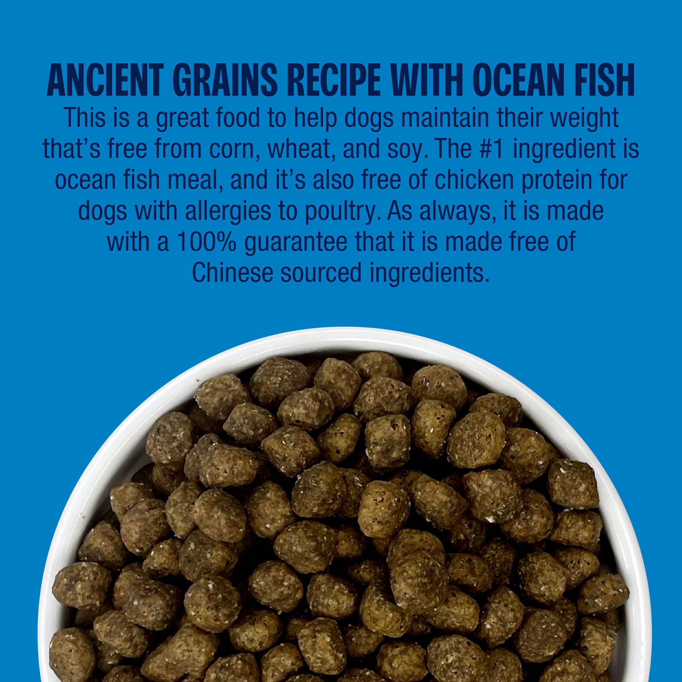 Perfect Balance Grain Free Recipe with Ocean Fish Meal Dog Food - Image 7