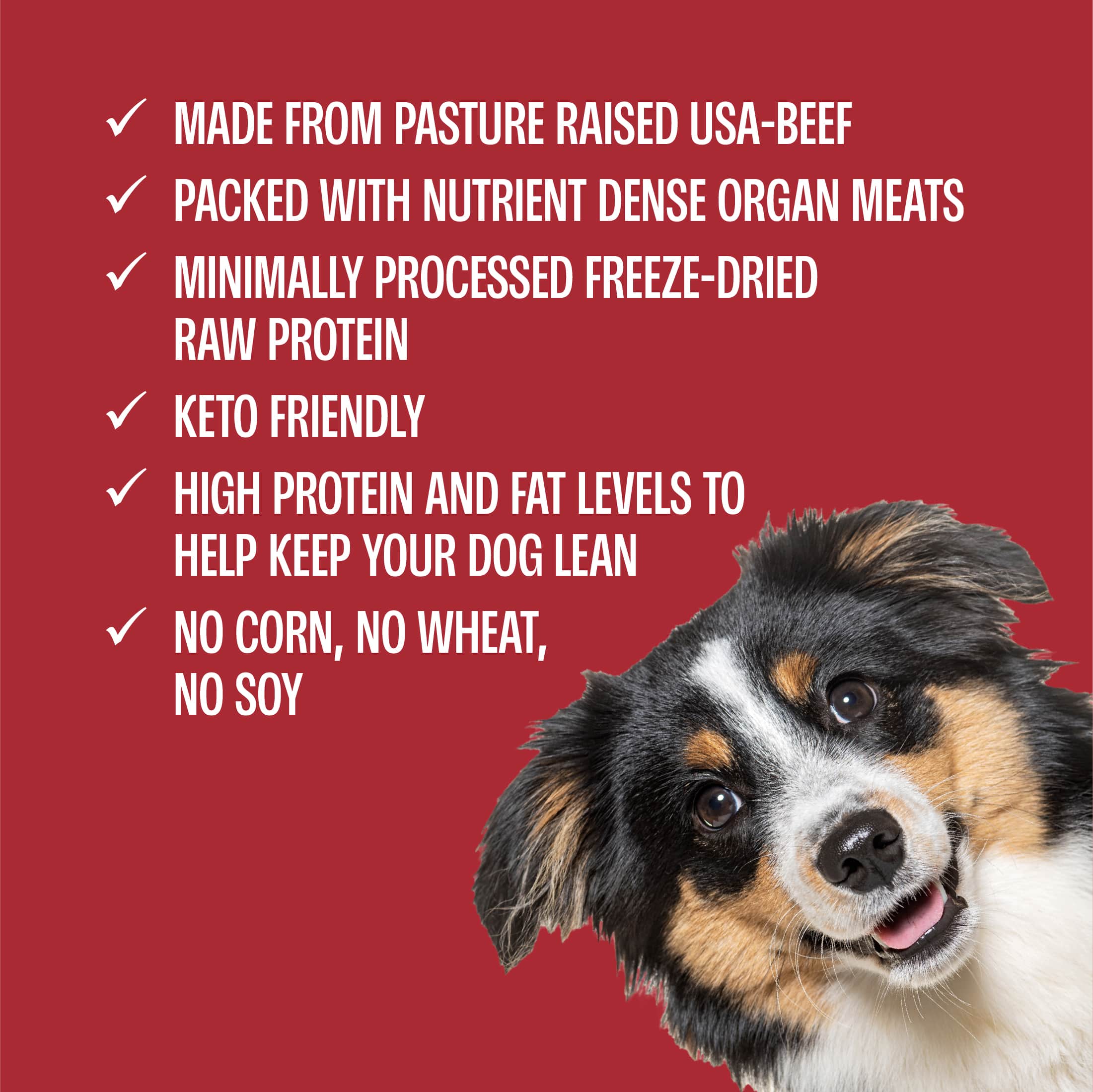 Puppy Training Bundle - 2 Beef + 2 Chicken - Image 12