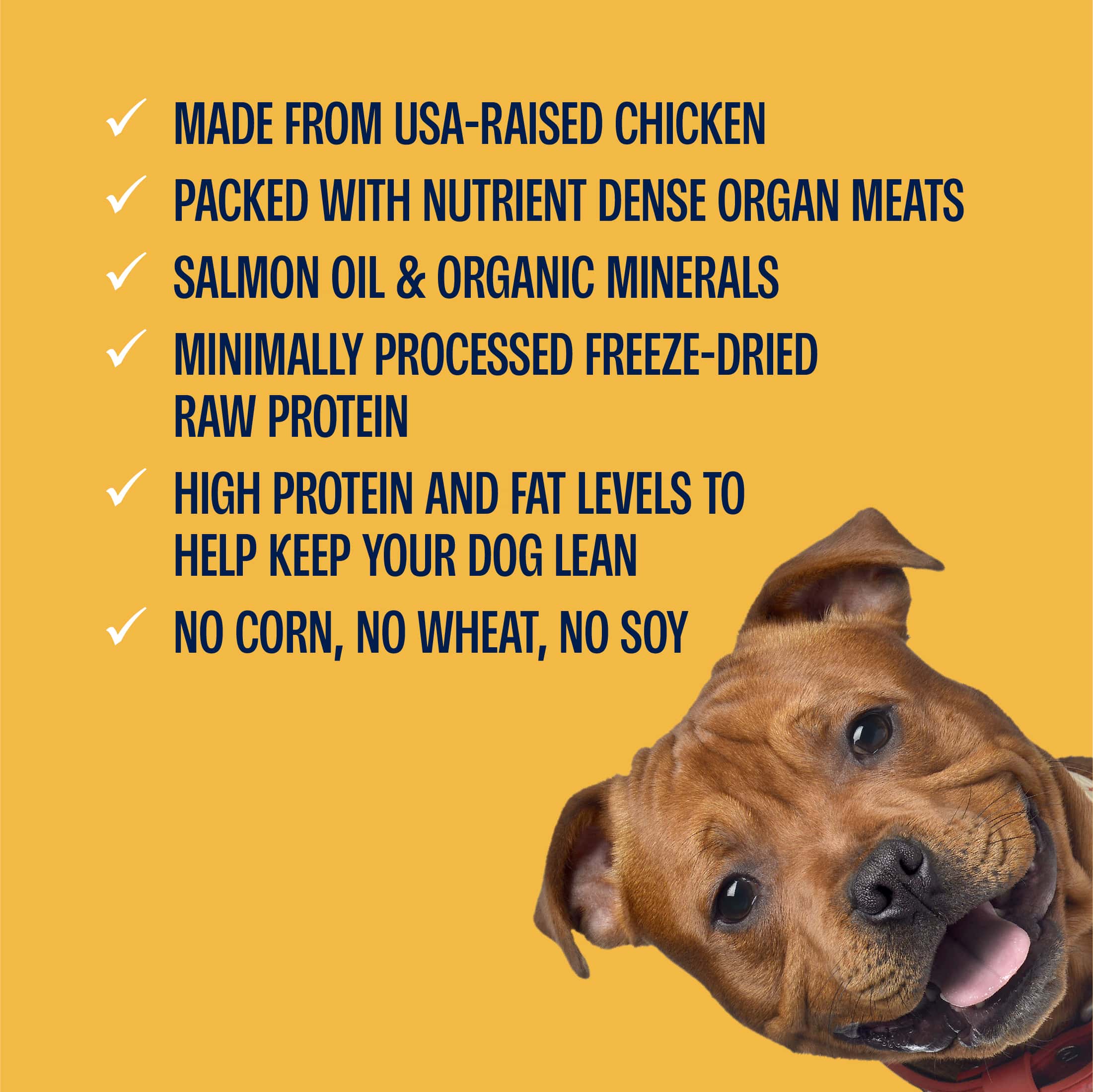Chicken Bites Freeze-Dried Complete & Balanced Food and Treats for Dogs - Image 10