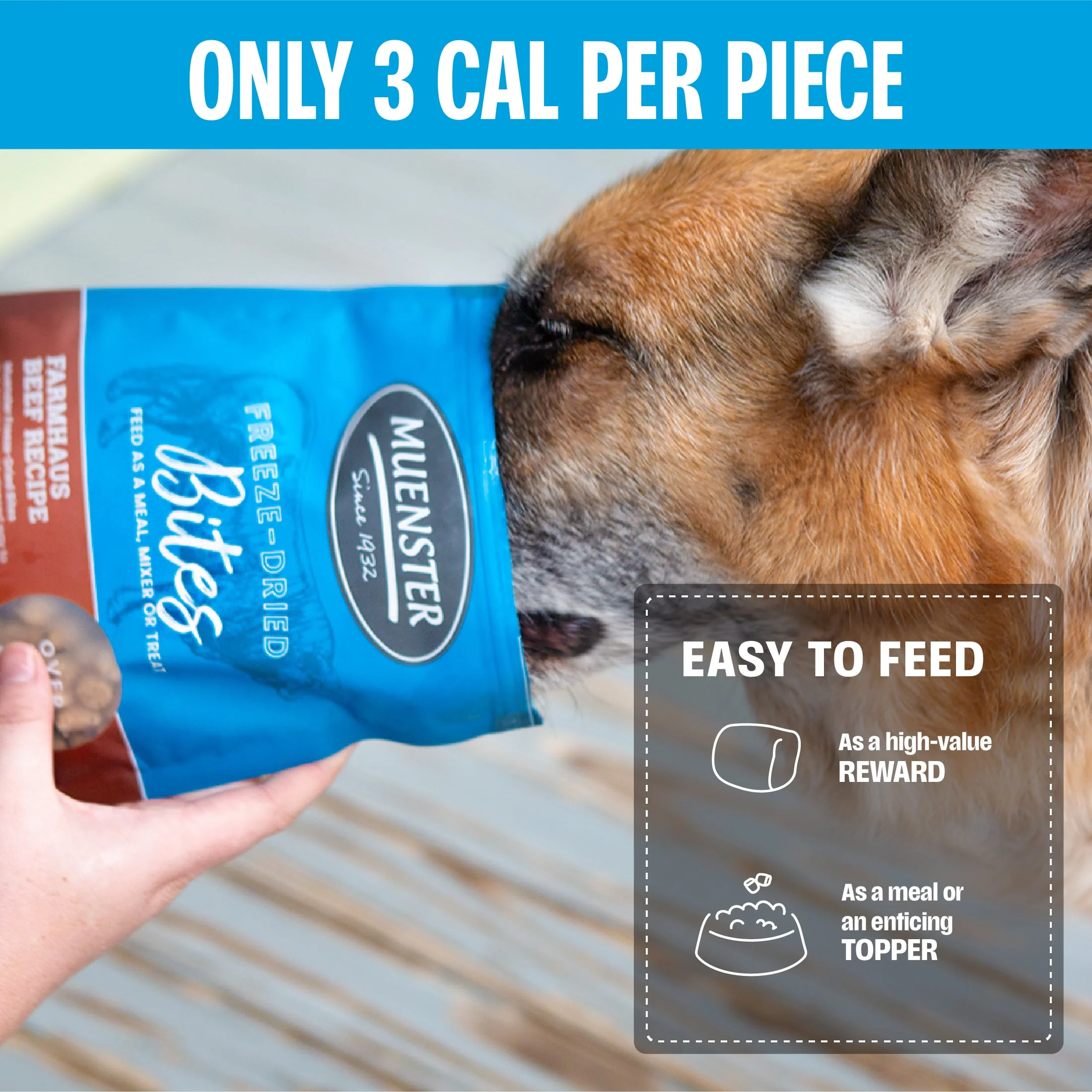 Puppy Training Bundle - 2 Beef + 2 Chicken - Image 9
